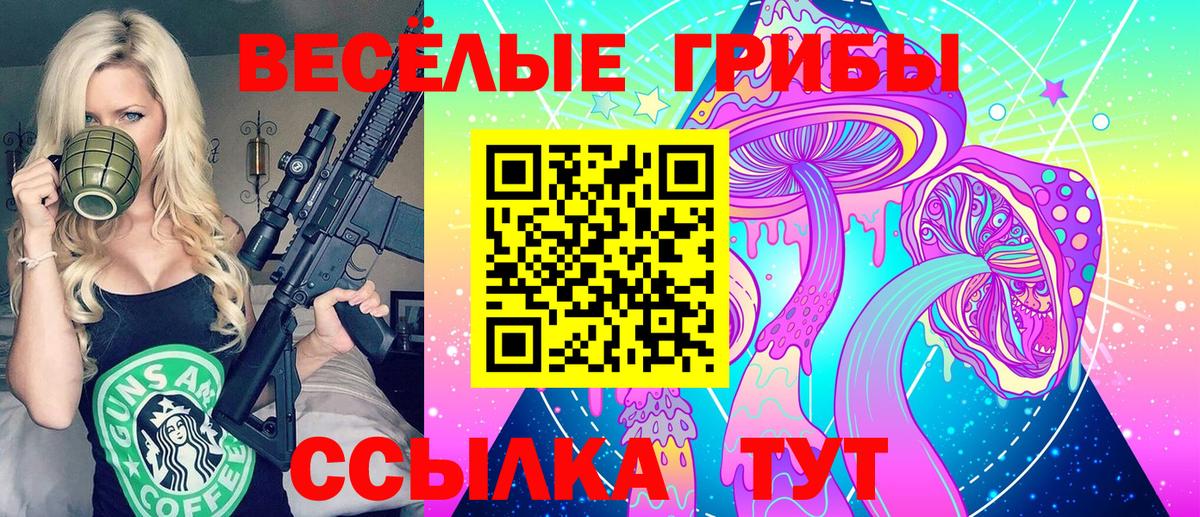 Псилоцибиновые грибы Cubensis  Псилоцибиновые грибы GOLDEN TEACHER  Вход с VPN  Александров 