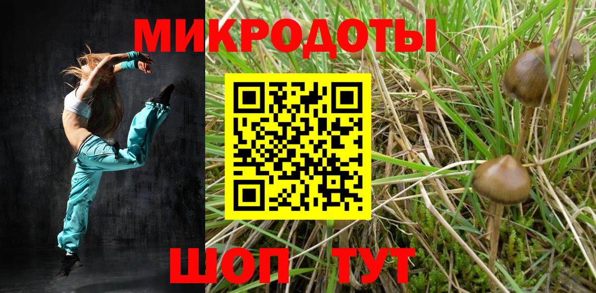 Галлюциногенные грибы MAGIC MUSHROOMS Александров